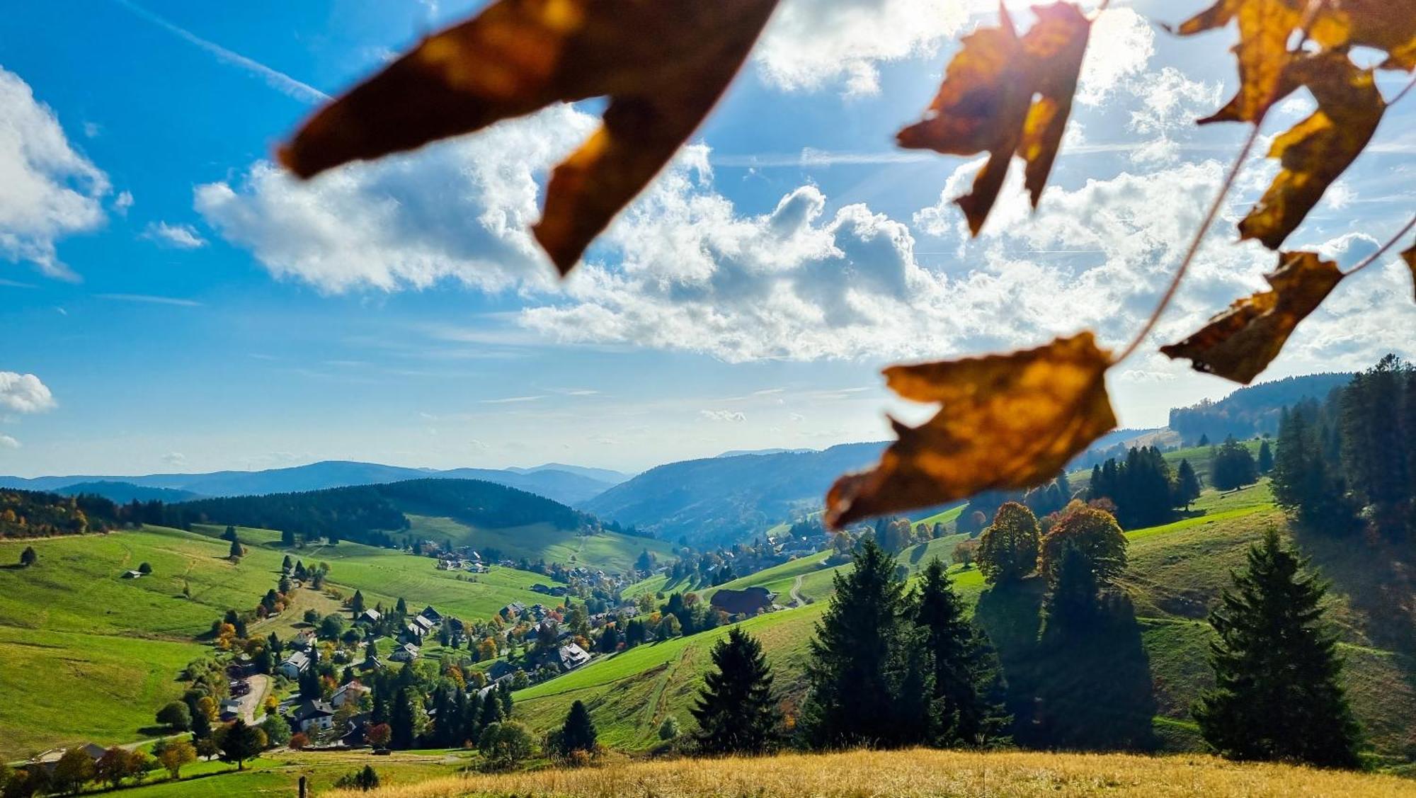 "Schwarzwaldblick" Ferienwohnung 2-4 Pers 65Qm, Schoene Ruhige Suedhanglage Mit Herrl Aussicht ทอดท์เนา ภายนอก รูปภาพ