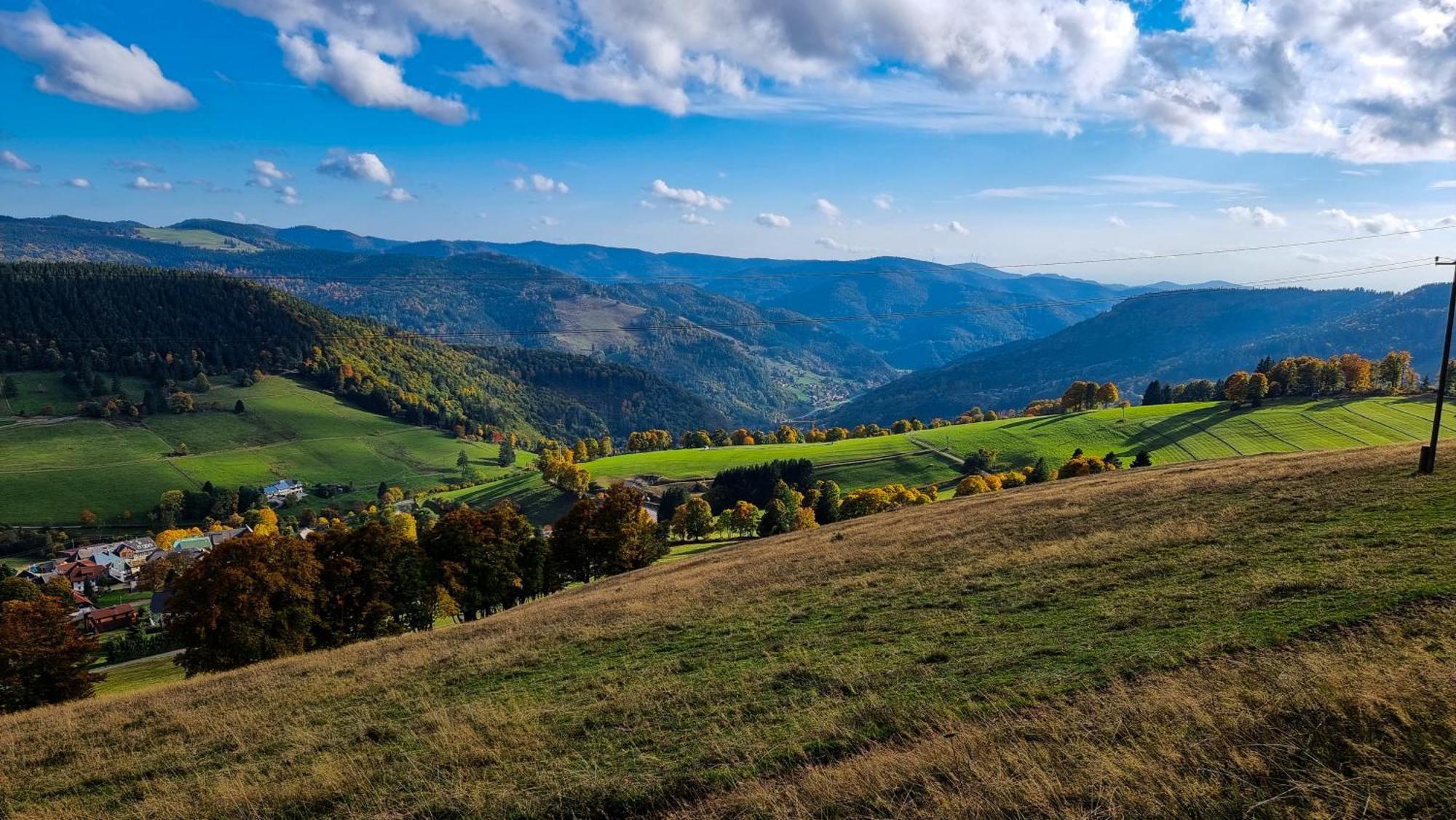 "Schwarzwaldblick" Ferienwohnung 2-4 Pers 65Qm, Schoene Ruhige Suedhanglage Mit Herrl Aussicht ทอดท์เนา ภายนอก รูปภาพ